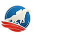 RCB988 RCB988